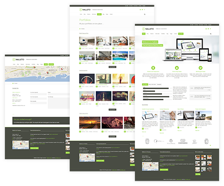 Wesvault Pte Ltd: Things That Make a Web Development Company Best